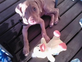 TaysoN